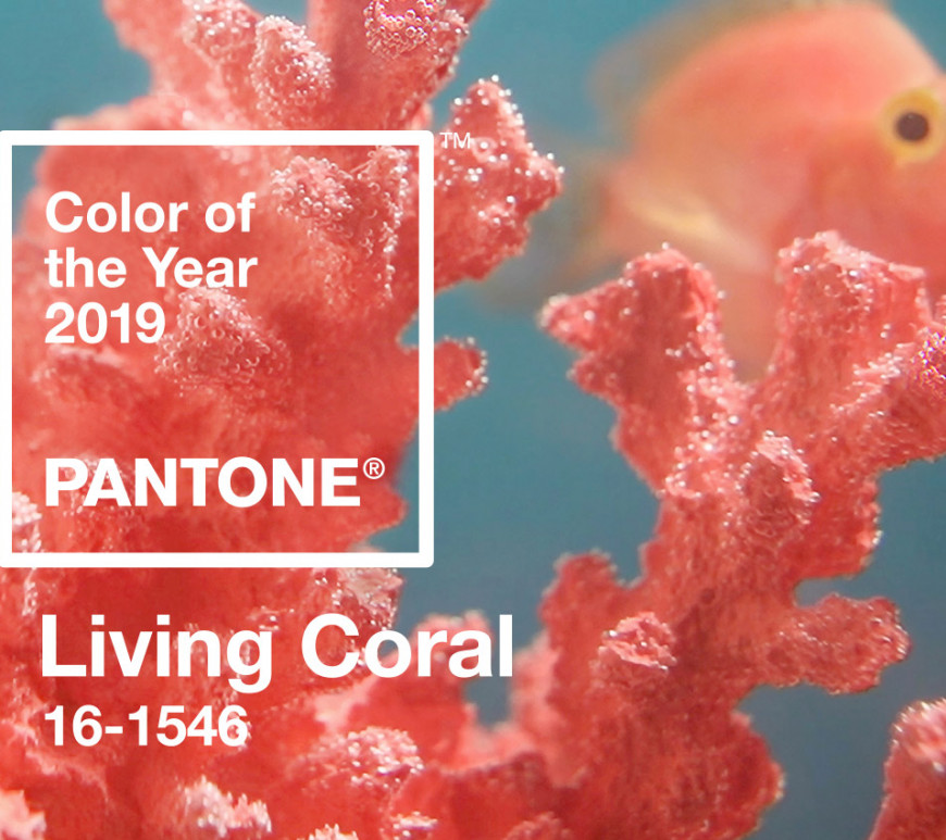 Pantone color of the year 2019 living coral